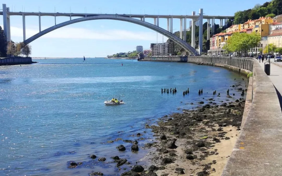 recrutamento porto portugal viamapa